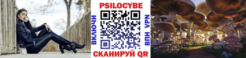 Псилоцибиновые грибы прущие грибы  Котельнич 