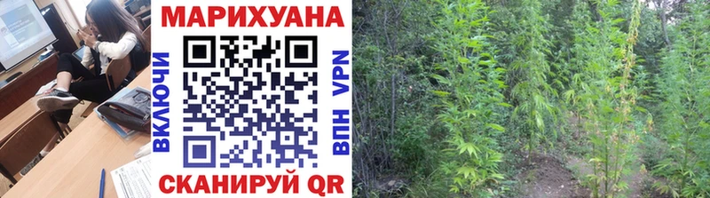 Канабис Ganja  купить закладку  МЕГА зеркало  Котельнич 
